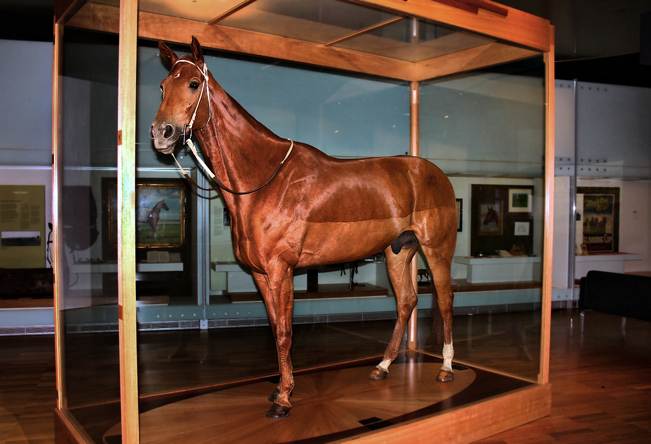 Phar Lap