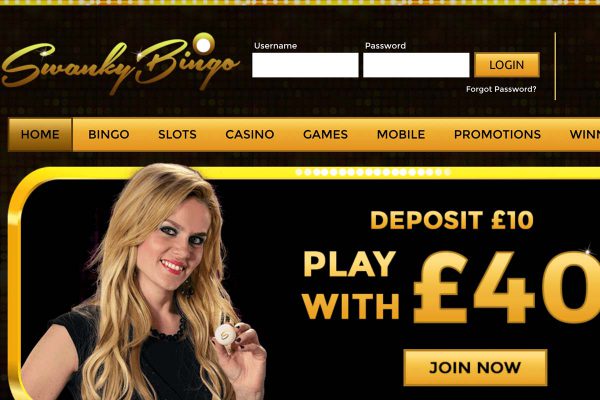 Posh bingo members login Posh bingo members login