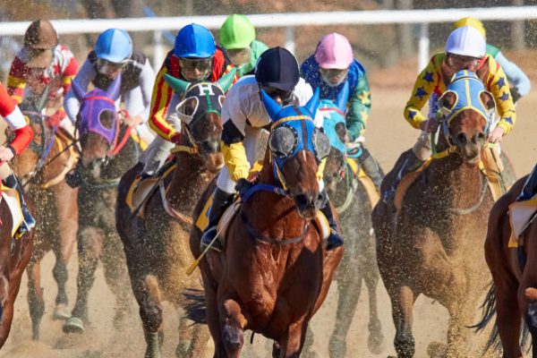 British Horse Racing to Resume on Wednesday After Equine Flu Outbreak