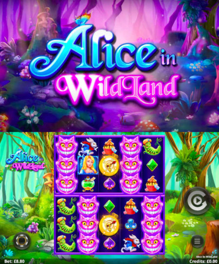 Alice In Wildland